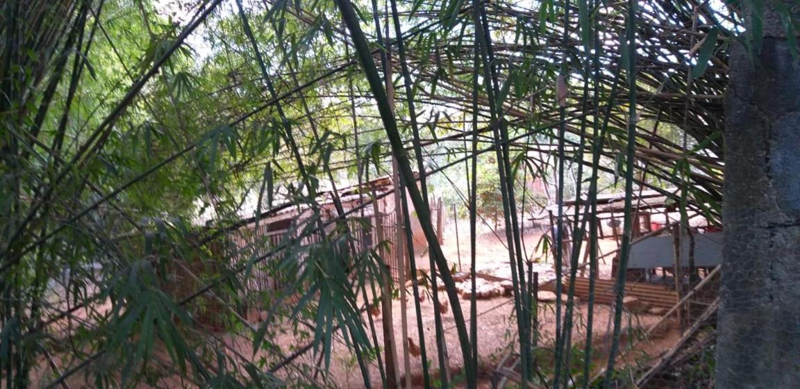 Pousada Sirius São Roque de Minas エクステリア 写真